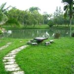 Tìm đối tác đào tạo, dưỡng lão cho 6000m2 + 1800m2 sân giữa công viên Hà đông