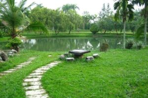 Tìm đối tác đào tạo, dưỡng lão cho 6000m2 + 1800m2 sân giữa công viên Hà đông