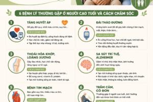 Những bệnh lý thường gặp ở người cao tuổi và cách chăm sóc phù hợp