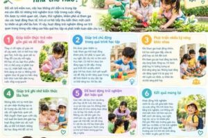 Hoạt động trải nghiệm giúp trẻ học tập hiệu quả như thế nào?