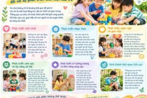 Vai trò của hoạt động vui chơi đối với sự phát triển toàn diện của trẻ