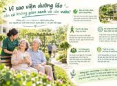 VÌ SAO VIỆN DƯỠNG LÃO CẦN CÓ KHÔNG GIAN XANH VÀ SÂN VƯỜN?
