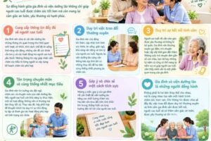 Gia đình nên phối hợp với viện dưỡng lão như thế nào?